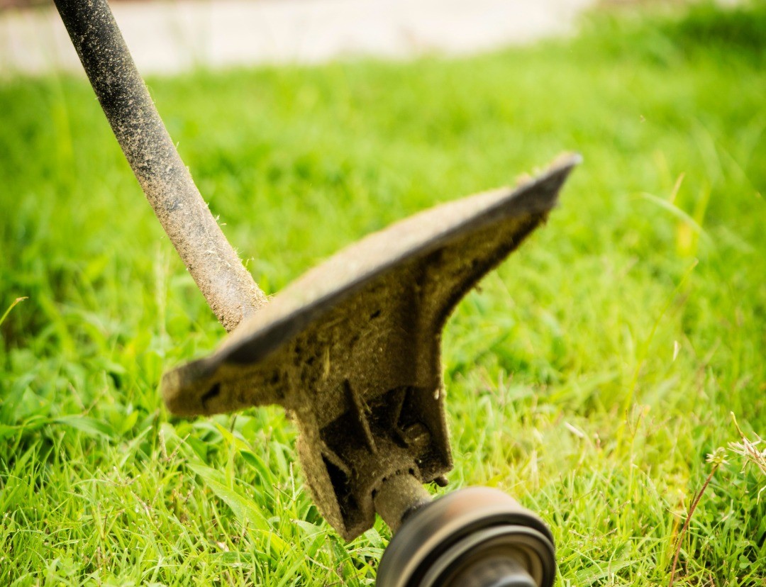 Gardening